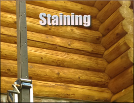  Hume, Virginia Log Home Staining